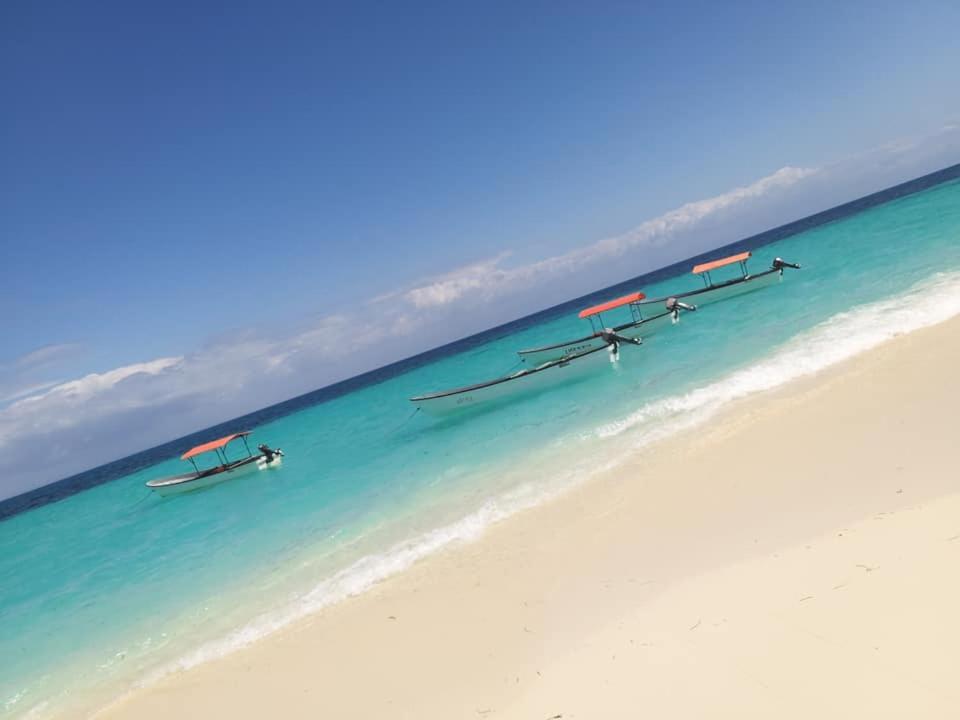 Caveman Lodge 基济姆卡济 外观 照片